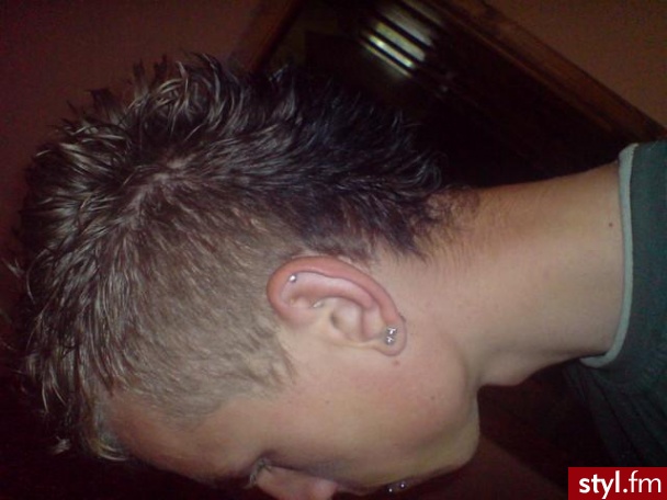 Punk Rock Alternatywne Średnie Fryzury