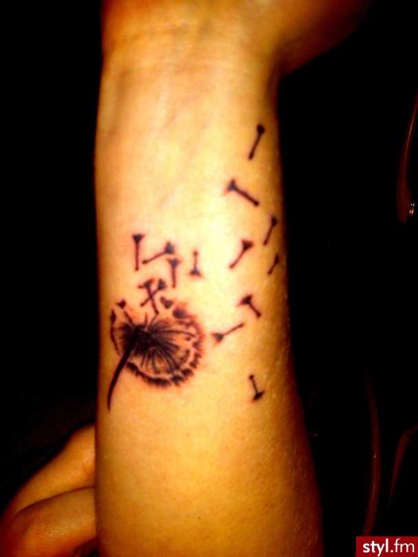 dandelion xx - Tatuaże