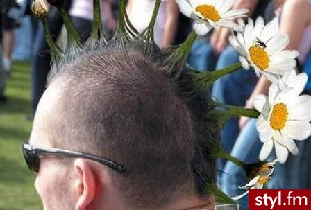 Punk Rock Alternatywne Średnie Fryzury