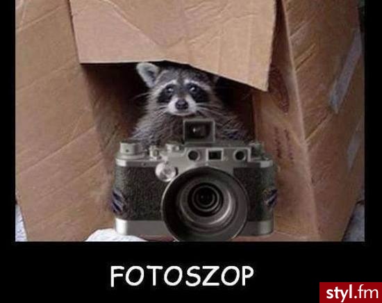 Humor