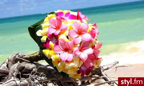 Frangipani - Bukiety ślubne Ślub Moda