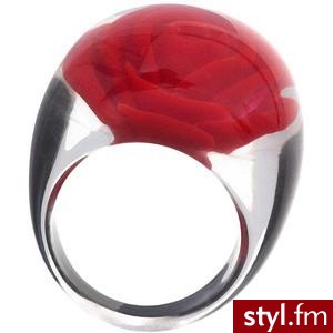 Róża ukryta w kawałku plastiku.... # 28 PLN (6 GBP) - missselfridge.com - Pozostałe Dodatki Moda