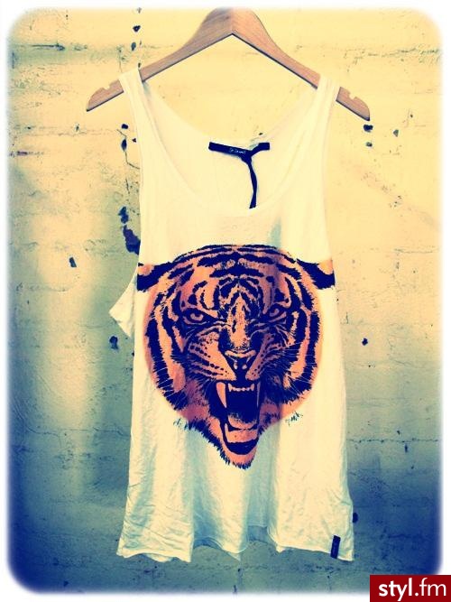 Topy Ciuchy Moda