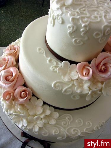 tort - Misz-masz
