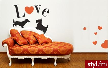 fantastycznie ;p - Mój pokój Wnętrza