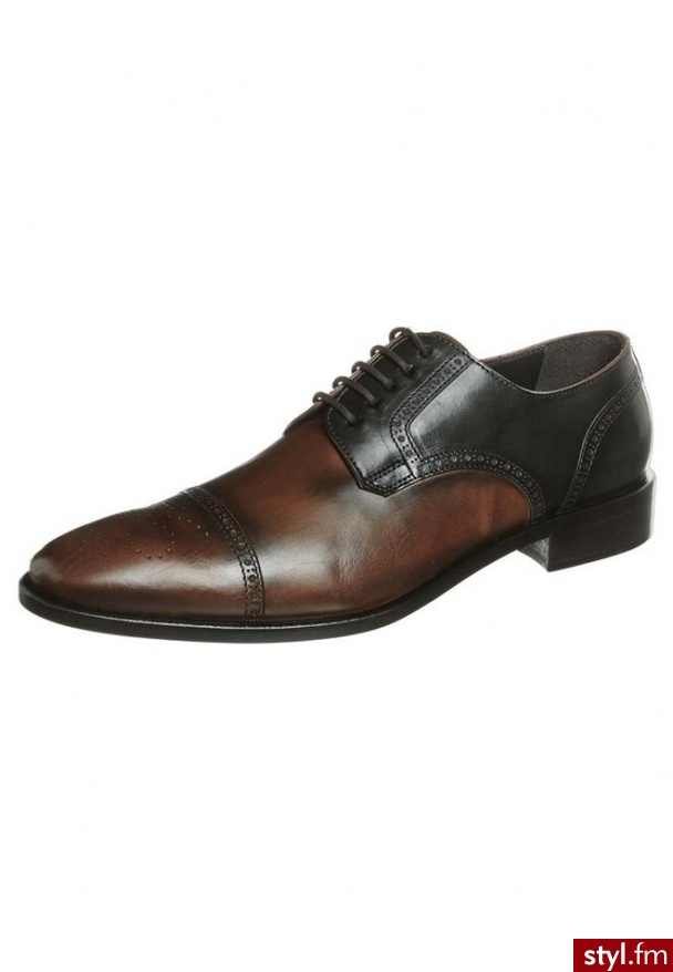 Galizio Torresi Oksfordki brązowy (312926) - Pozostałe Buty Moda