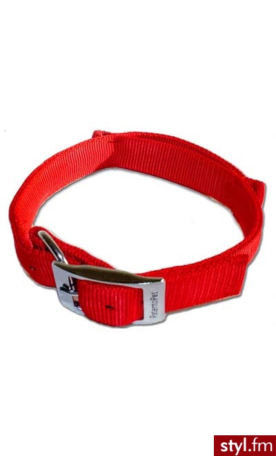 PATENTO PET DOG CONTROL BASIC OBROŻA XL 61-70CM - CZERWONA - Psy Zwierzaki