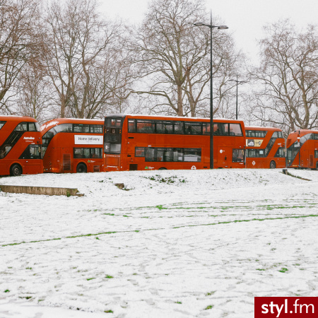 Przewozy autokarowe z Warmińsko-Mazurskiego do Danii
https://mazurlinetravel.pl/busy-do-danii-z-warminsko-mazurskie - Misz-masz