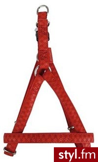 Zolux (522055Ro) Szelki Mac Leather 20-29Cm/20-29Cm/15Mm Czerwon - Psy Zwierzaki