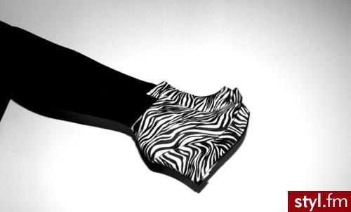 Koturny Buty Moda