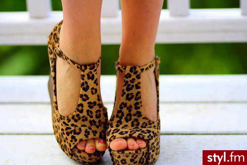Koturny Buty Moda