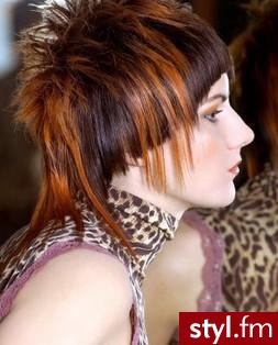 Punk Rock Alternatywne Średnie Fryzury