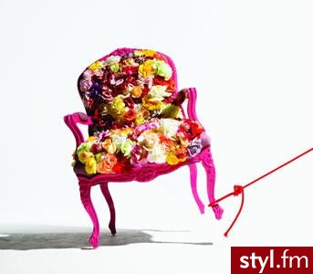 by Matthew Williamson. - Mój pokój Wnętrza