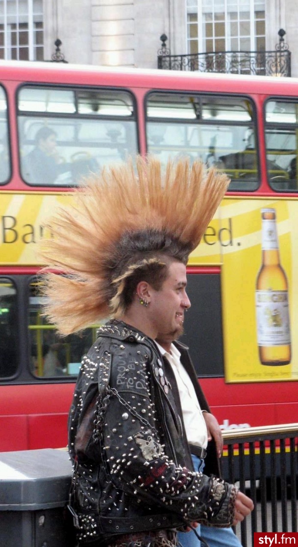 Punk Rock Alternatywne Średnie Fryzury