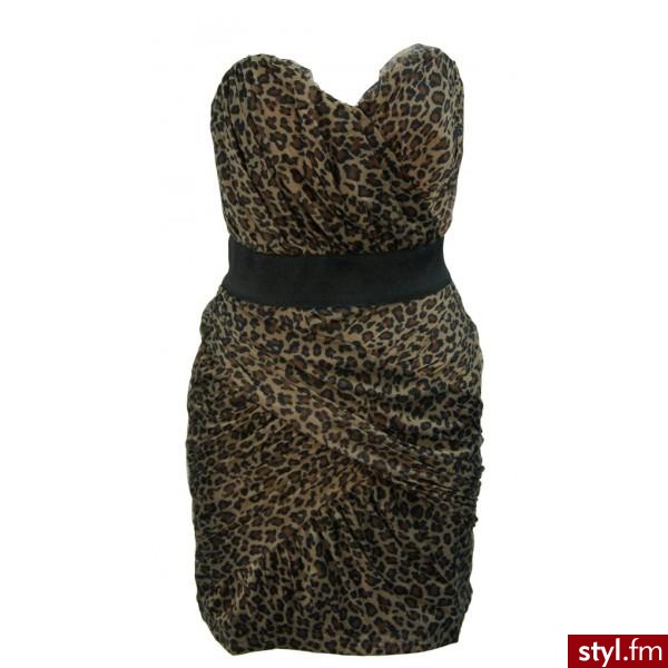 Sukienki Moda