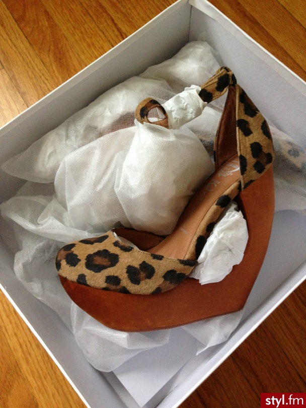 Koturny Buty Moda