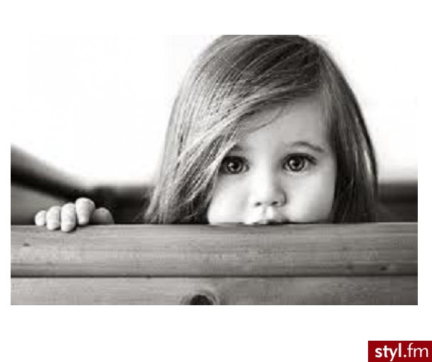                                                 - Styler