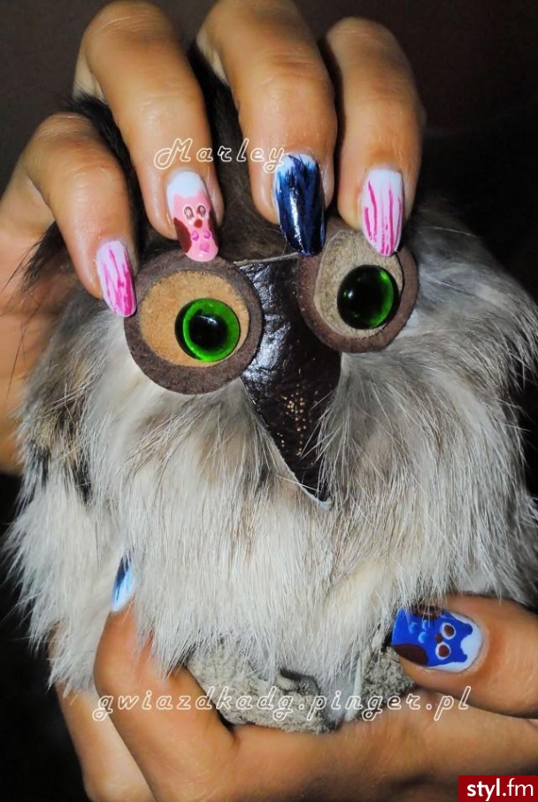 owl nails - Migdałki Naturalne Paznokcie