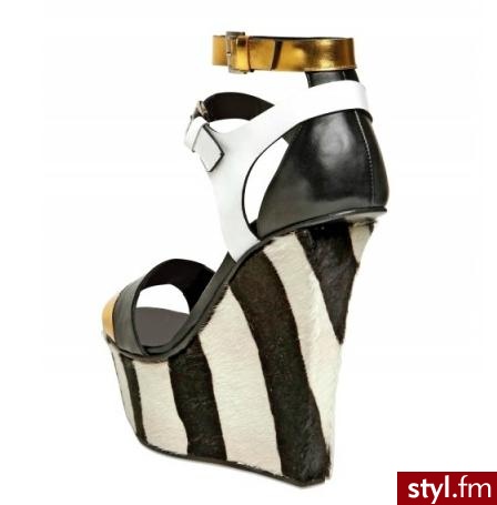 Koturny Buty Moda