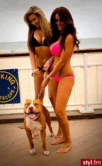 Na plażę Bielizna Moda