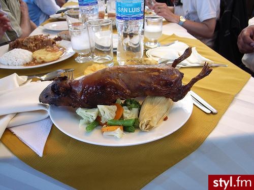 Smażona świnka morska. Peruwiańczycy upodobali sobie tę potrawę już wiele wieków temu. - Misz-masz