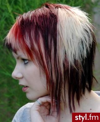 Punk Rock Alternatywne Średnie Fryzury