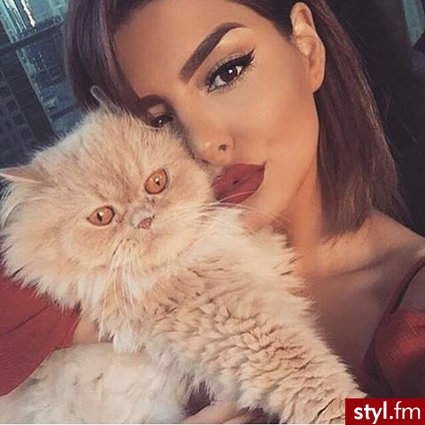 Misz-masz