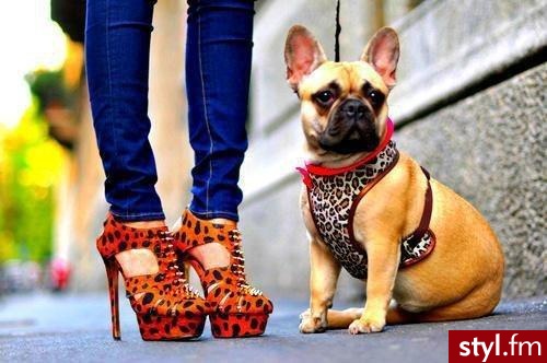 Botki Buty Moda
