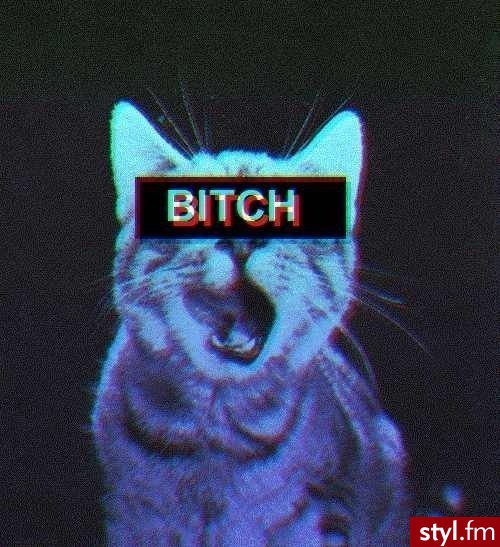 Misz-masz