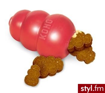 Rogz Classic KONG L - Dziecko