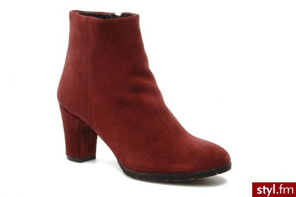 Georgia Rose PÓŁBUTY I BOTKI GONZI BY GEORGIA ROSE (Bordowy) - Botki Buty Moda