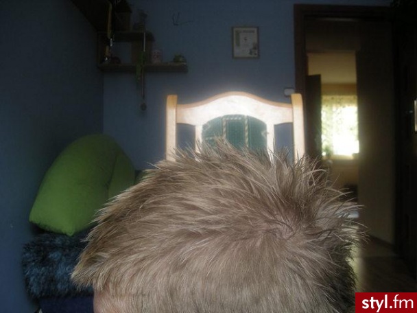Punk Rock Alternatywne Średnie Fryzury