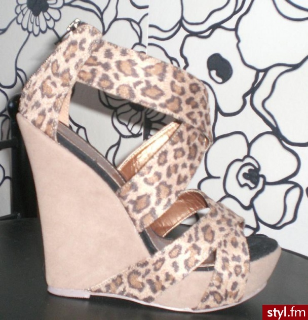 Koturny Buty Moda