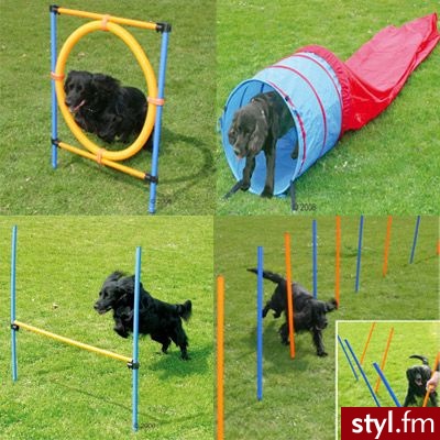 Agility zestaw przeszkód - Korzystny zestaw (4 elementy) - Dziecko