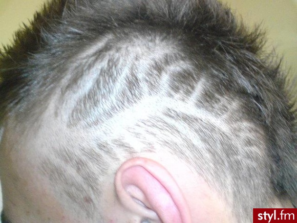 Punk Rock Alternatywne Średnie Fryzury