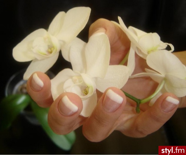 Autor: ANA1077 Takie krótsze. Autor: <b>ANA1077</b><br /> Żelowe z biała koncówką - Paznokcie