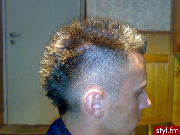 Punk Rock Alternatywne Średnie Fryzury