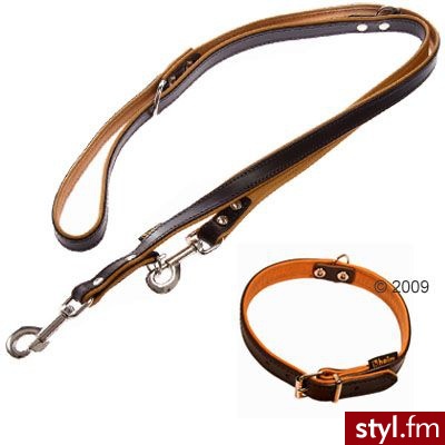 Heim Komplet Heim: smycz i obroża (brąz/koniak) - Smycz i obroża 32 cm / 12 mm - Psy Zwierzaki