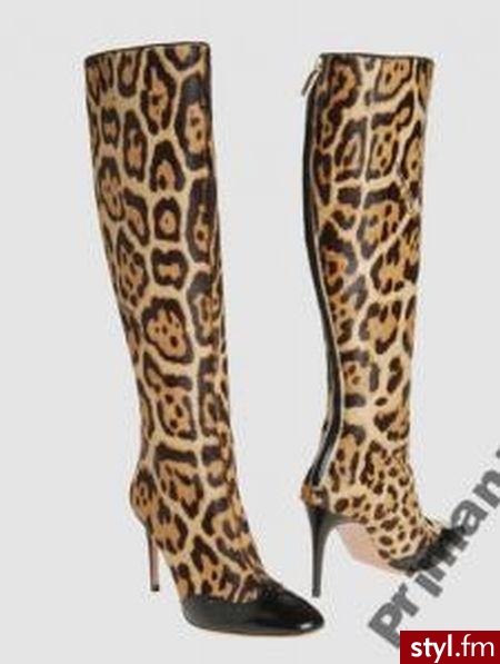 Roberto Cavalli 2010 leopard print - Pozostałe Buty Moda