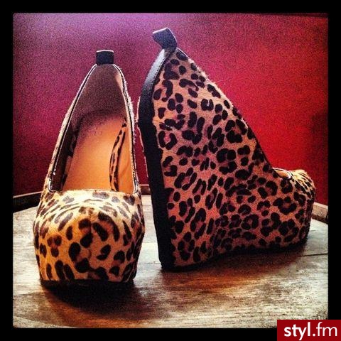 Koturny Buty Moda