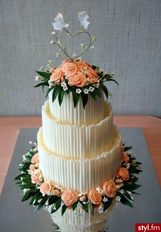 Tort. - Misz-masz