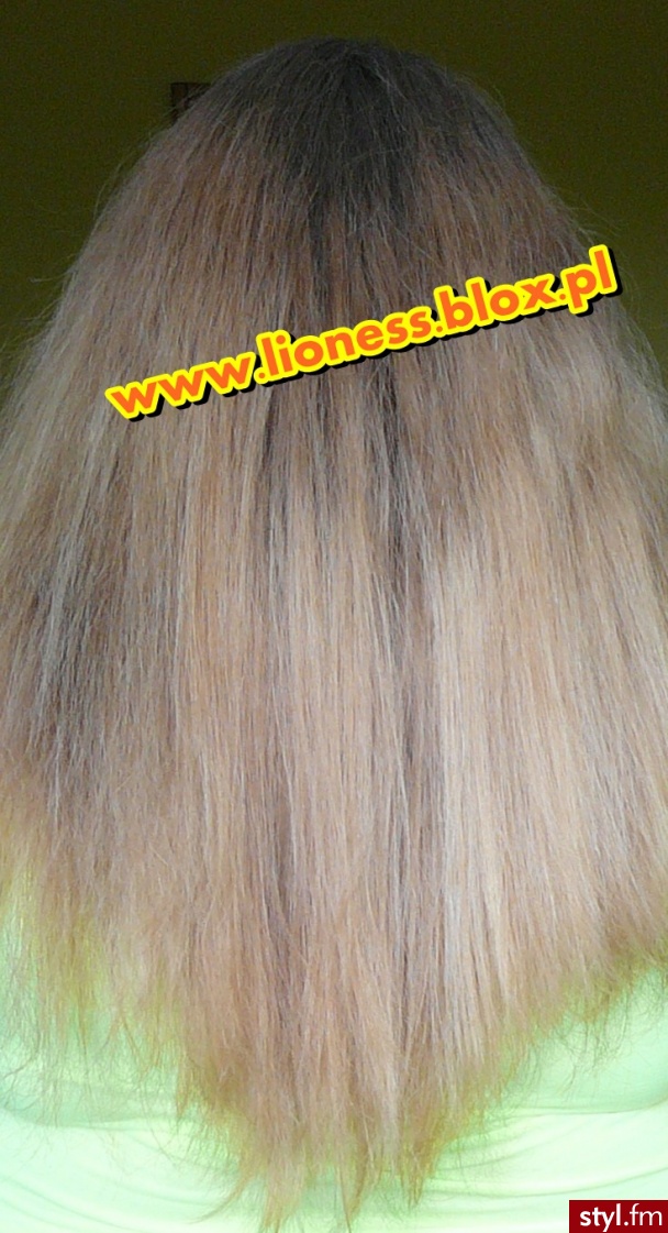 Ombre Hair farbą L'Oreal moje pierwsze wrażenia   zdjęcia jak i plusy i minusy znajdziecie...we FILMIKU: http://www.youtube.com/watch?v=rn_3eH1hawM jak NOTCE NA BLOGU: http://lioness.blox.pl/2013/08/Moje-Ombre-Hair-z-farba-Loreal.html - Blond Rozpuszczone Proste Na co dzień Długie Fryzury
