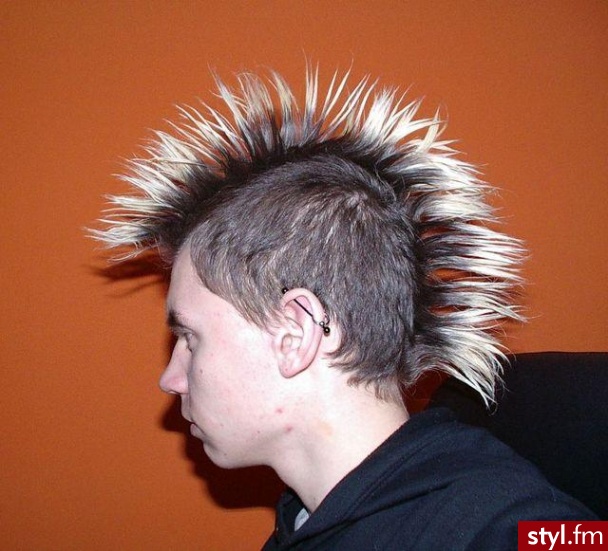 jedyne co mogę powiedzieć to ze długo boków nie ścinałem :) - Punk Rock Alternatywne Średnie Fryzury