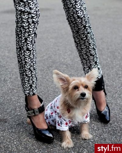 Pozostałe Buty Moda