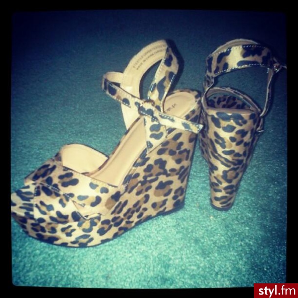 Koturny Buty Moda
