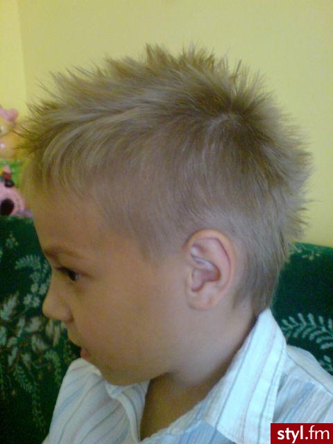 Punk Rock Alternatywne Średnie Fryzury