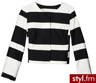 Zdjęcie dodane do bazy zdjęć Stylera - Styler
