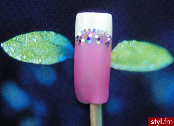 french holo - Paznokcie