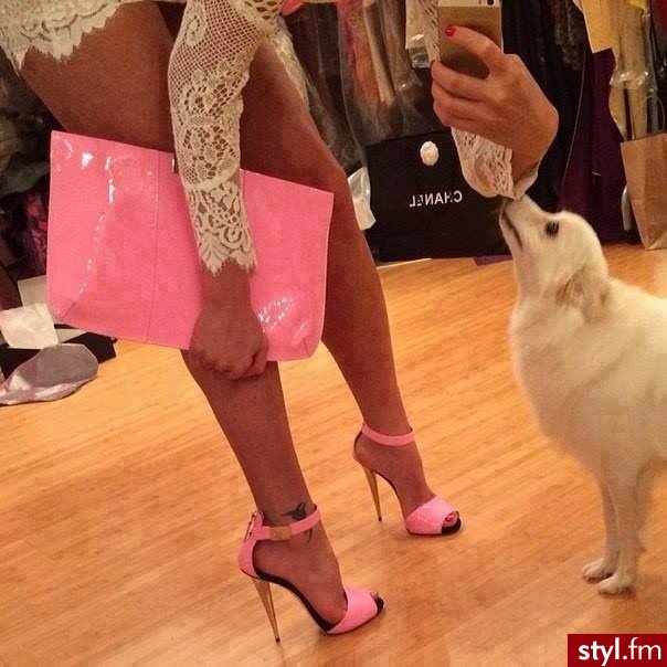 Szpilki Buty Moda