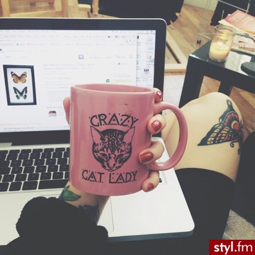 Misz-masz